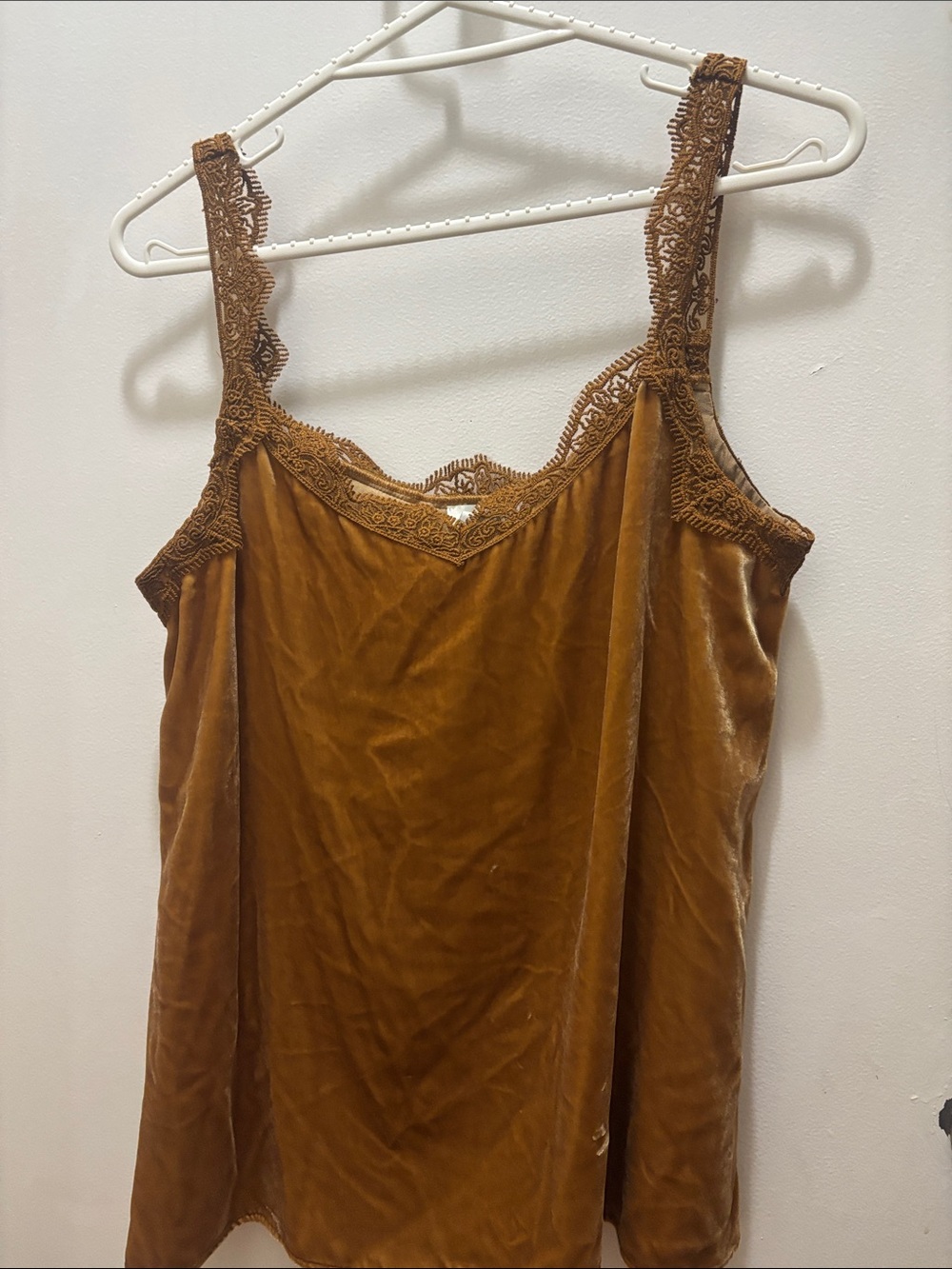 Sundance Velvet Lace-Trim Slip Camisole - Brown